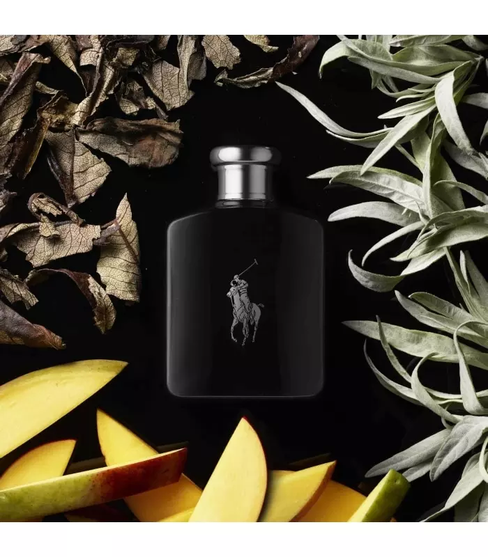 POLO BLACK Eau de Toilette Vaporisateur