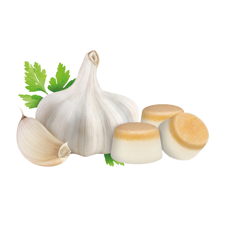 Beaphar Ergänzungsfutter & Aufzucht Beaphar Haut- und Fellkur Bonbons 245g Knoblauch-Bonbons