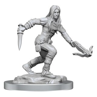 D&D Nolzur's Marvelous Miniatures Miniatur unbemalt Half-Elf Rogue Females (2)