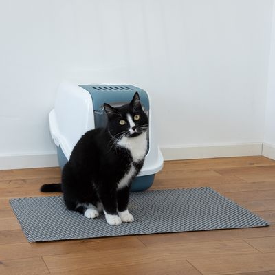 Katzentoilettenvorleger Trap-it!