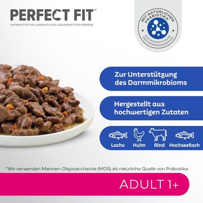 Sparpaket Perfect Fit 96 x 85 g