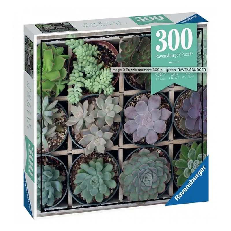 Puzzle Moment Green 300 pièces