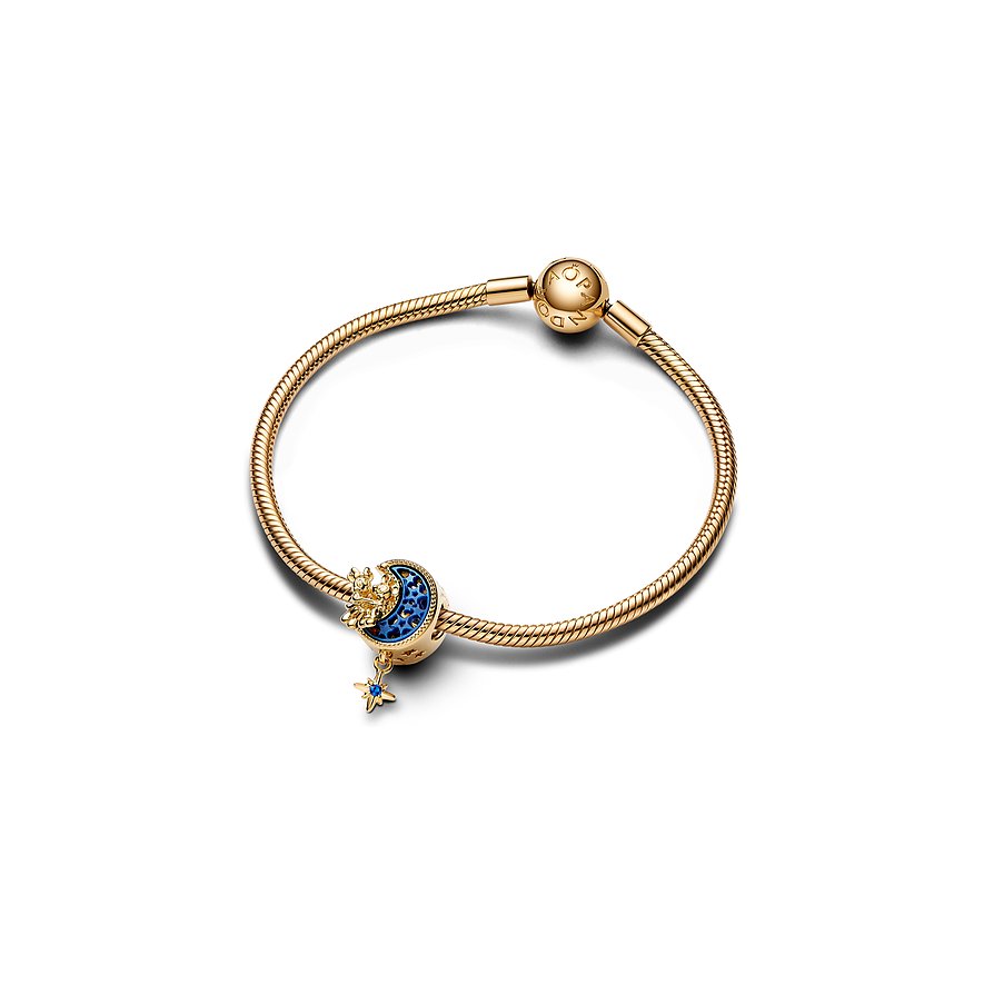 Pandora Charm x Pandora