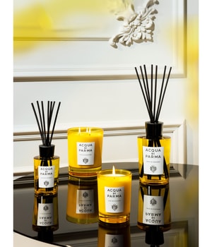 Acqua di Parma Room Diffuser Luce Di Colonia Raumduft-180 ml