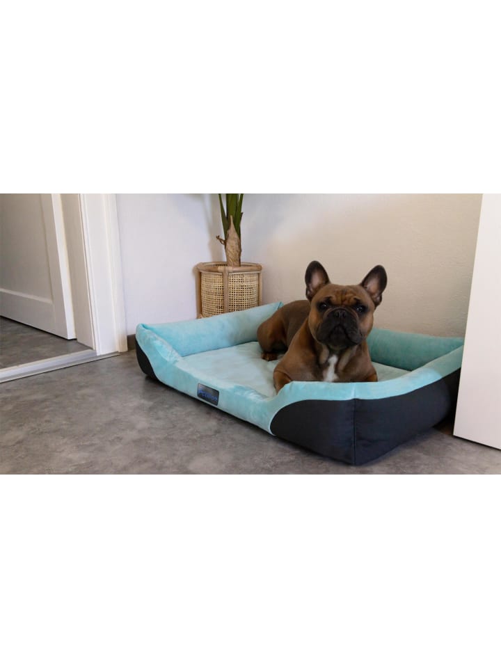 Aspero Hundebett Hanko in Blau günstig kaufen