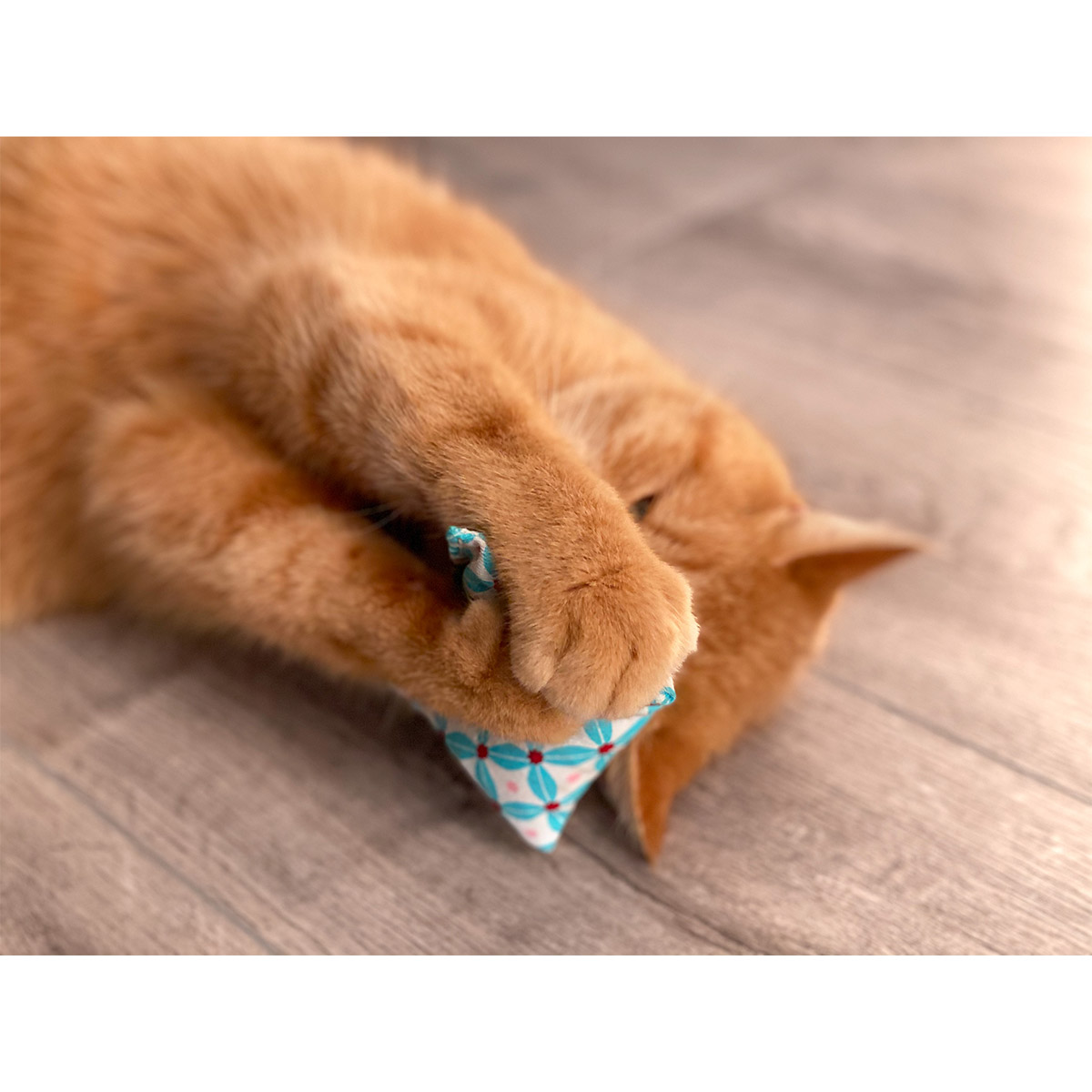 Aumüller Katzenspielkissen Minzini günstig kaufen