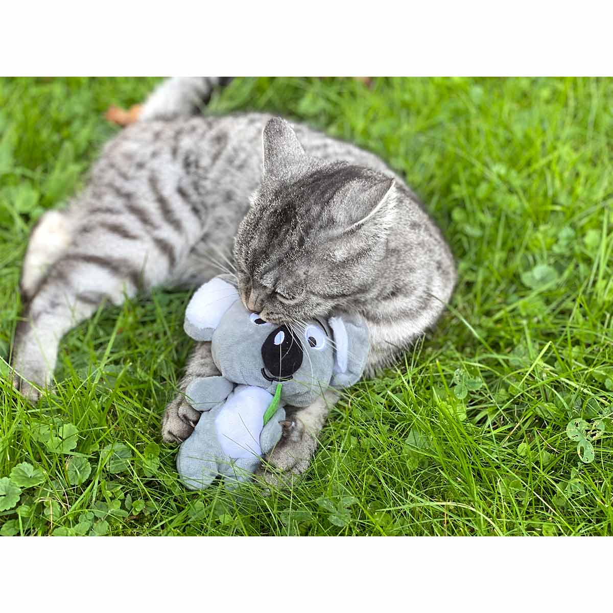 Aumüller Katzenspielzeug Koalabär Jack kaufen