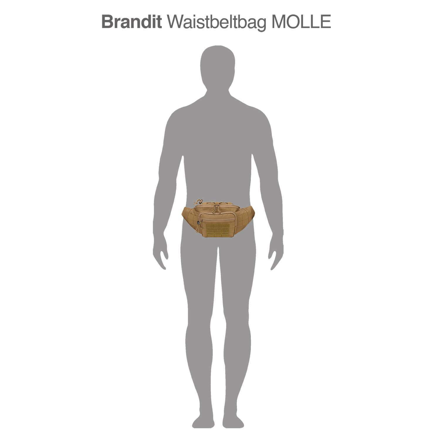 Waistbeltbag Molle