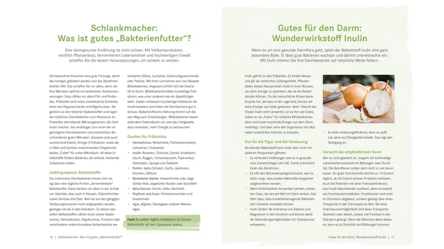 Die Ernährungs-Docs - Gesund abnehmen mit der Darm-fit-Formel