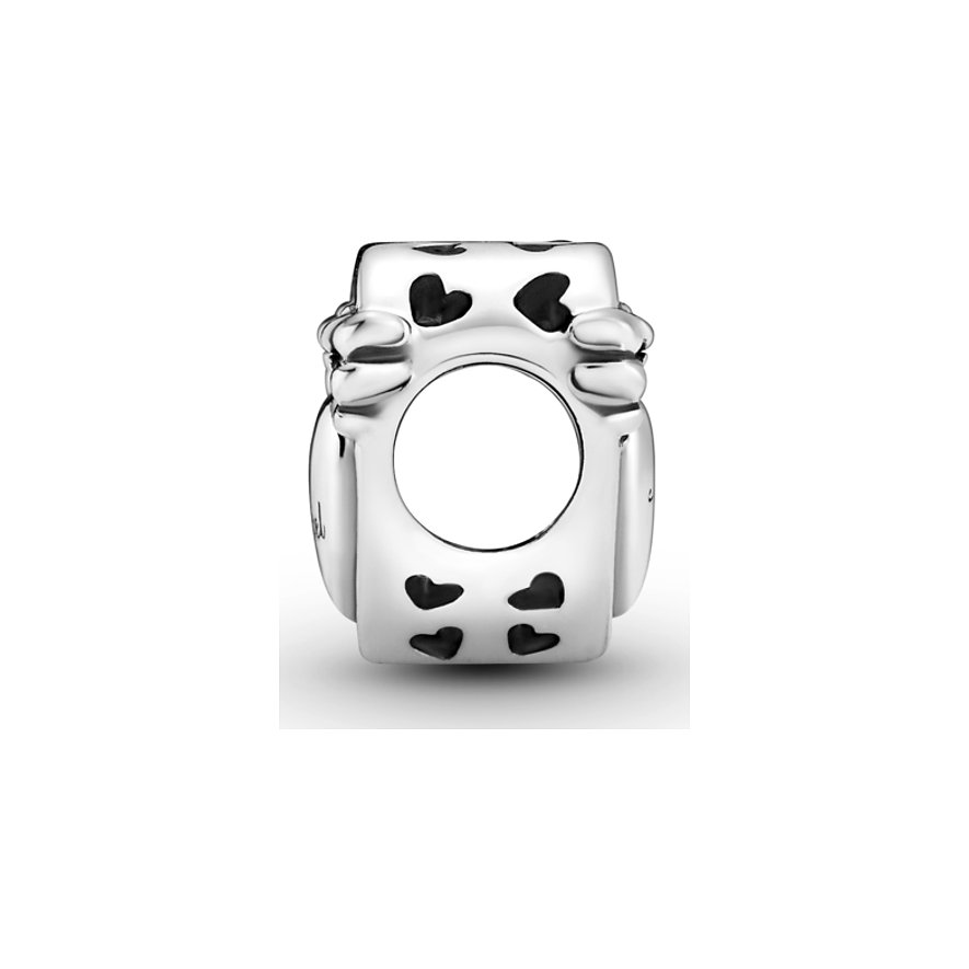 Pandora Charm Moments