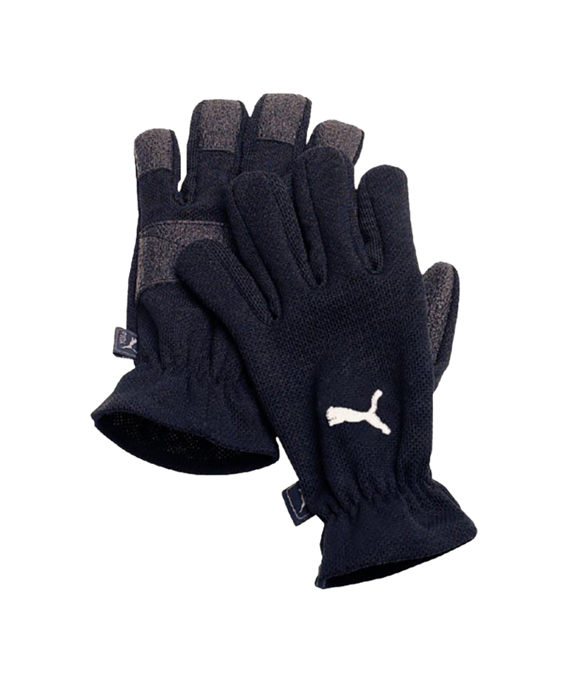 PUMA Feldspielerhandschuh Winter Players F01