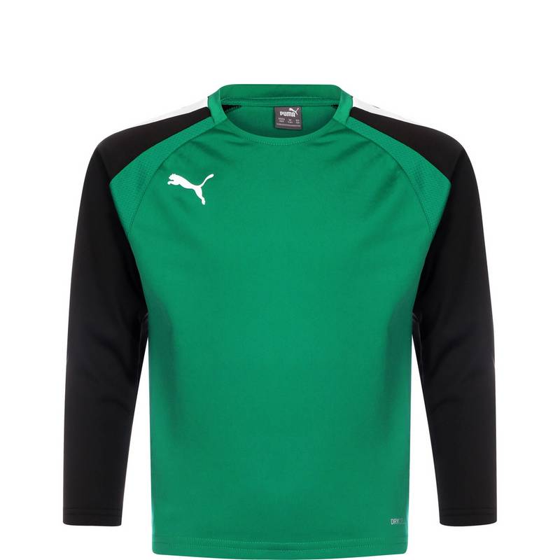 PUMA TeamLIGA Funktionssweatshirt Jungen