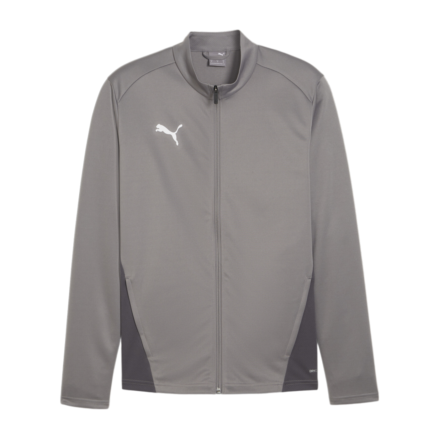 PUMA teamGOAL Training 1/4 Zip Sweatshirt Grau F13