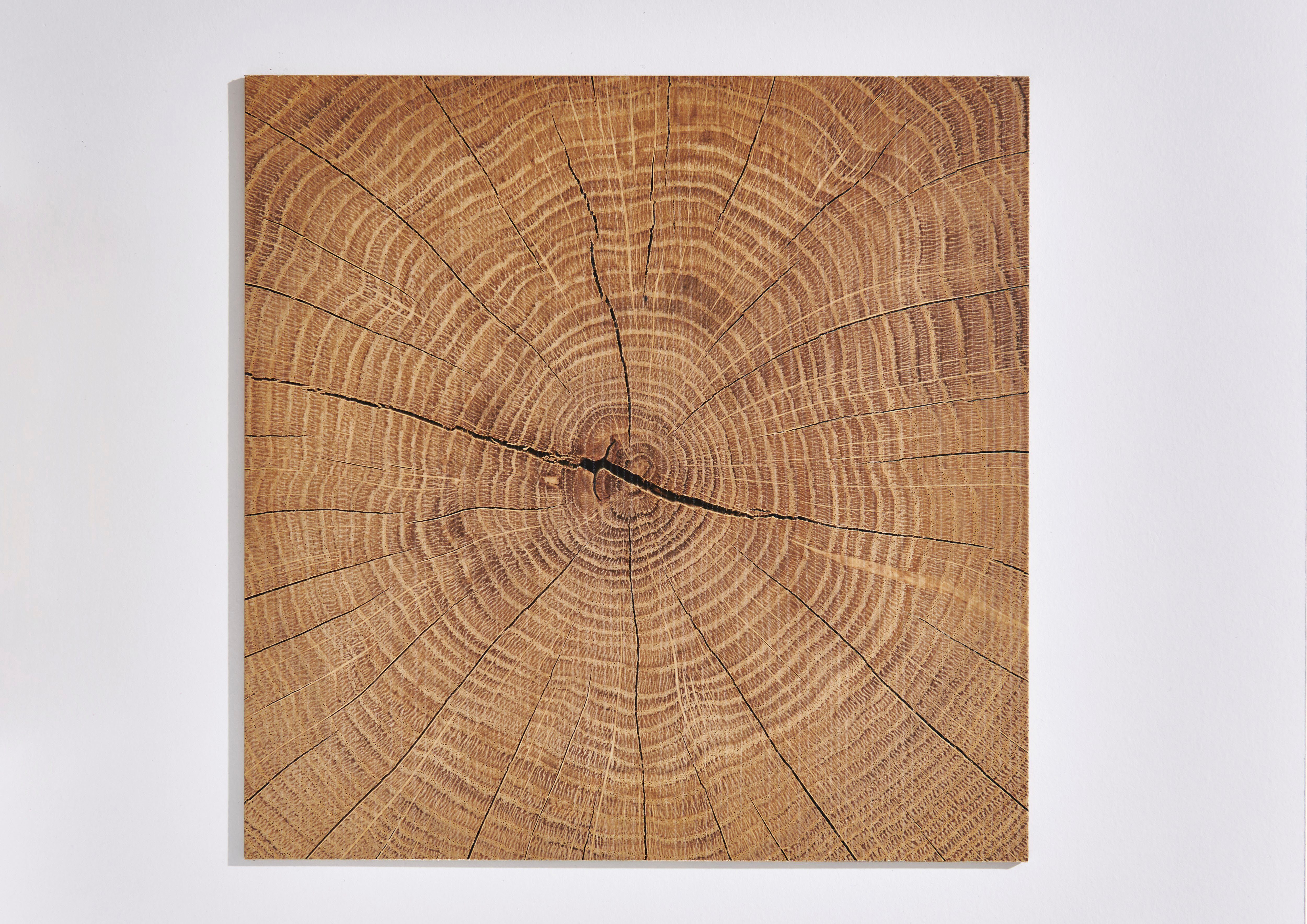 Wimex Kleiderschrank Gotland wahlweise in 91cm oder 135cm Breite