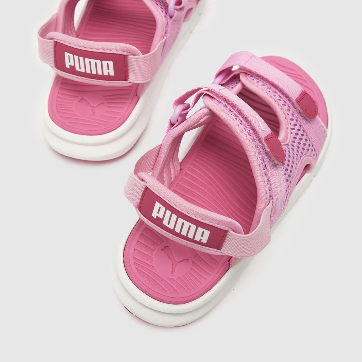 PUMA rosa evolve flickor juniorsandaler