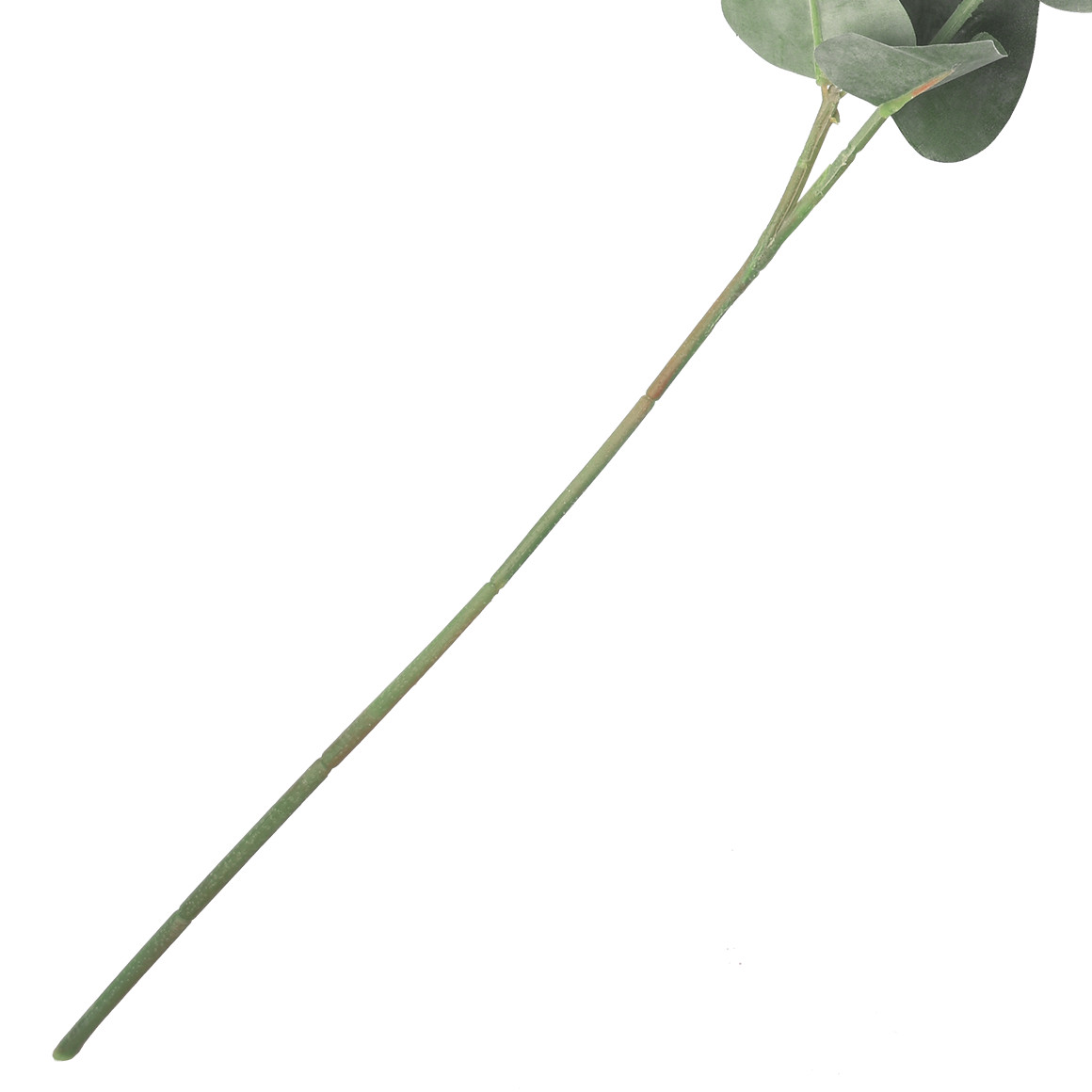 Kunstpflanze Eukalyptus als Zweig
