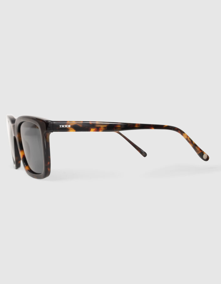 Lunettes solaires écailles style rectangle Homme