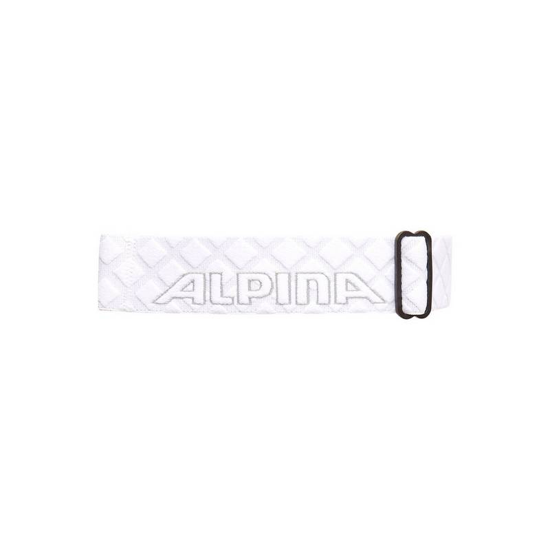 ALPINA FREESPIRIT DH Skibrille