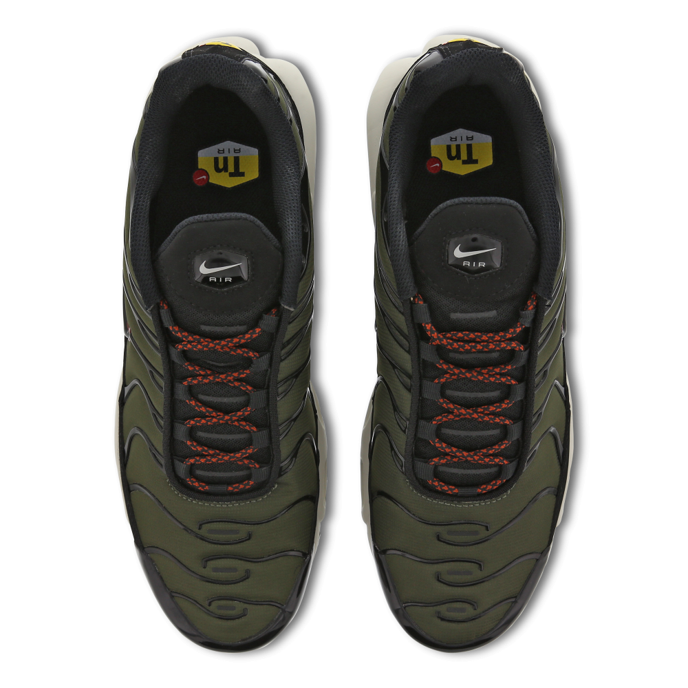 Nike Air Max Plus FB9722-300 / grün