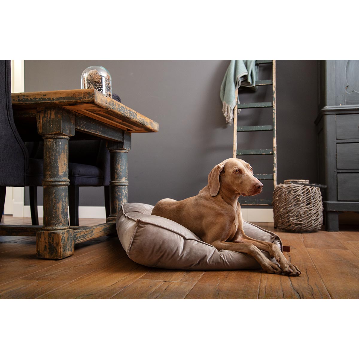 Designed by Lotte Hundekissen Nalino Samt Grau bei ZooRoyal
