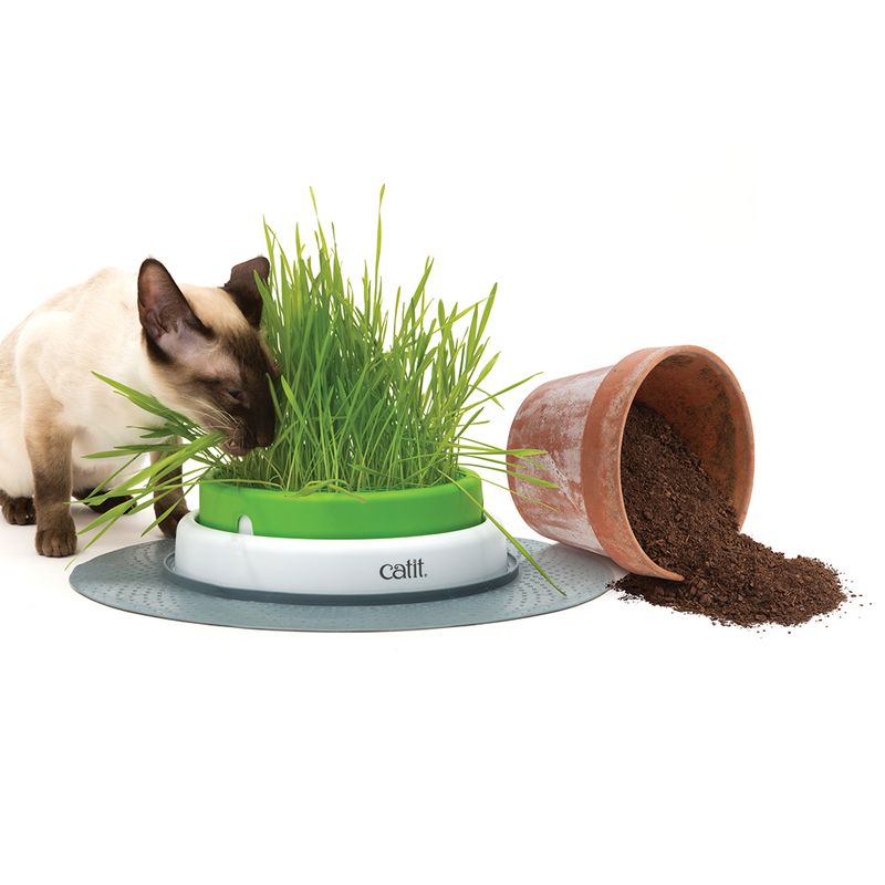 Catit Senses 2.0 Grastopf zu Discountpreisen % bei bitiba.de