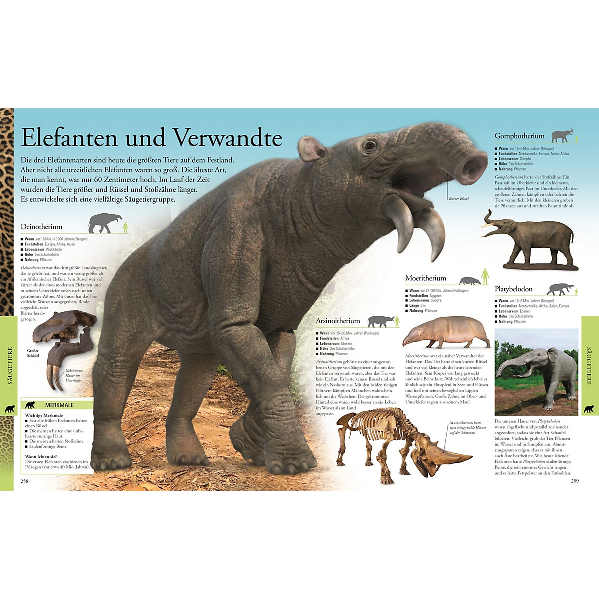 Dinosaurier und andere Tiere der Urzeit für clevere Kids