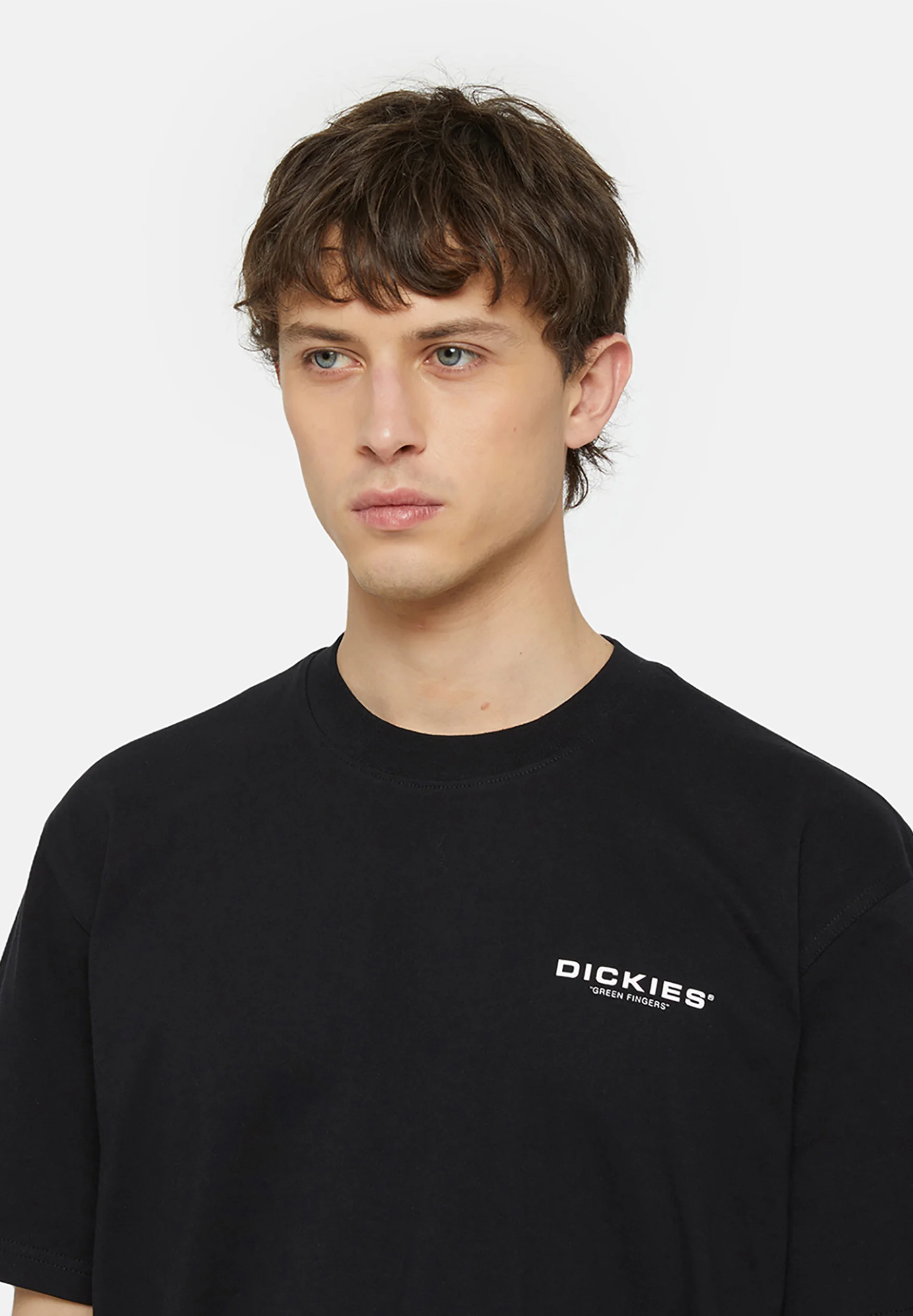 Dickies WAKEFIELD - Camiseta con estampado