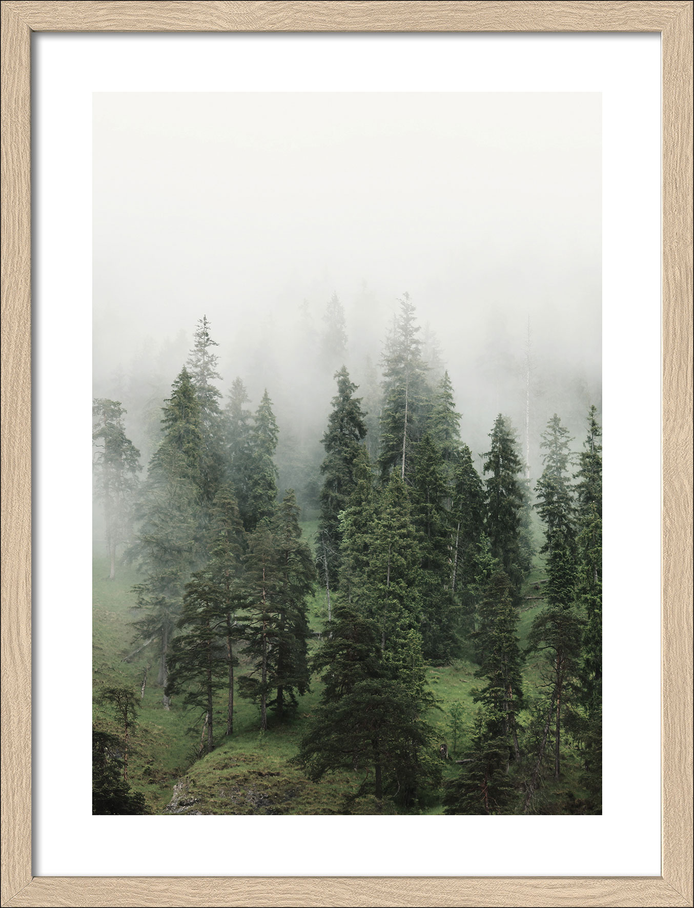Pro ArtKunstdruck gerahmt 32,5x42,5cm