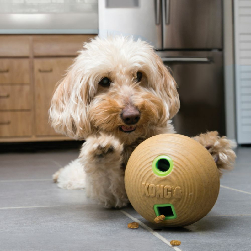 KONG Intelligenzspielzeug KONG Bamboo Snack-knochen