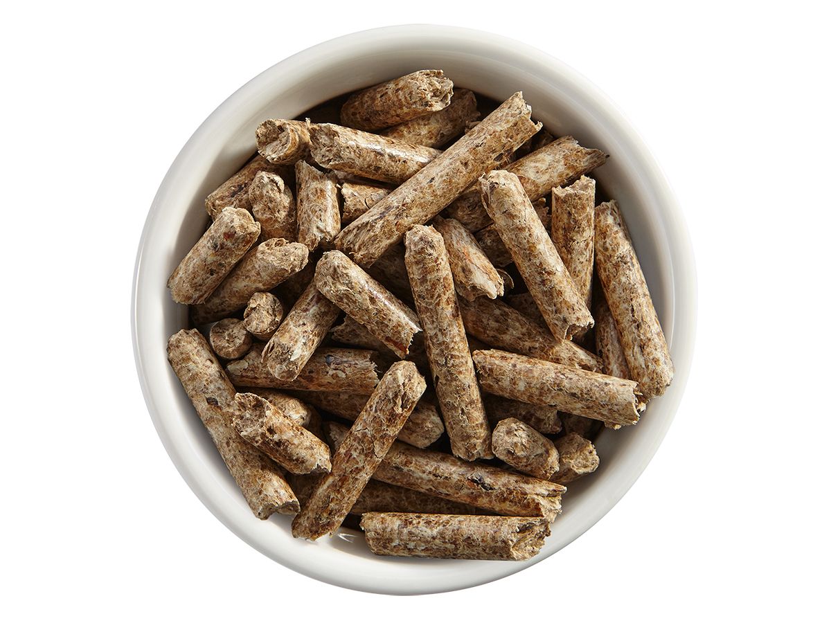 Weber Hickory Barbecue Holzpellets