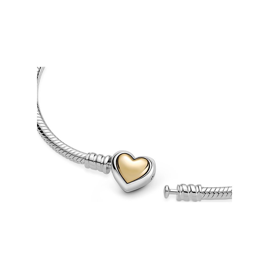 Pandora Armband Moments