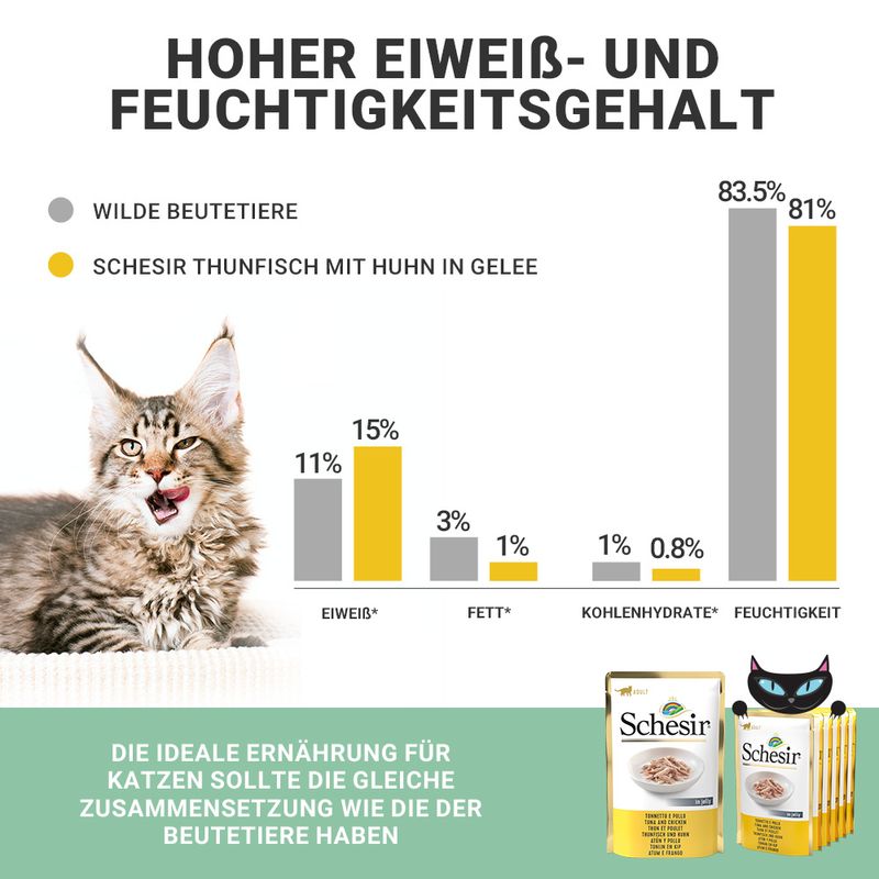 Sparpaket Schesir Jelly Pouch 24 x 85 g zu TOP-Preisen | bitiba %