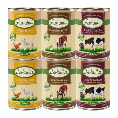 6 x 400 g Lukullus Naturkost gemischtes Probierpaket