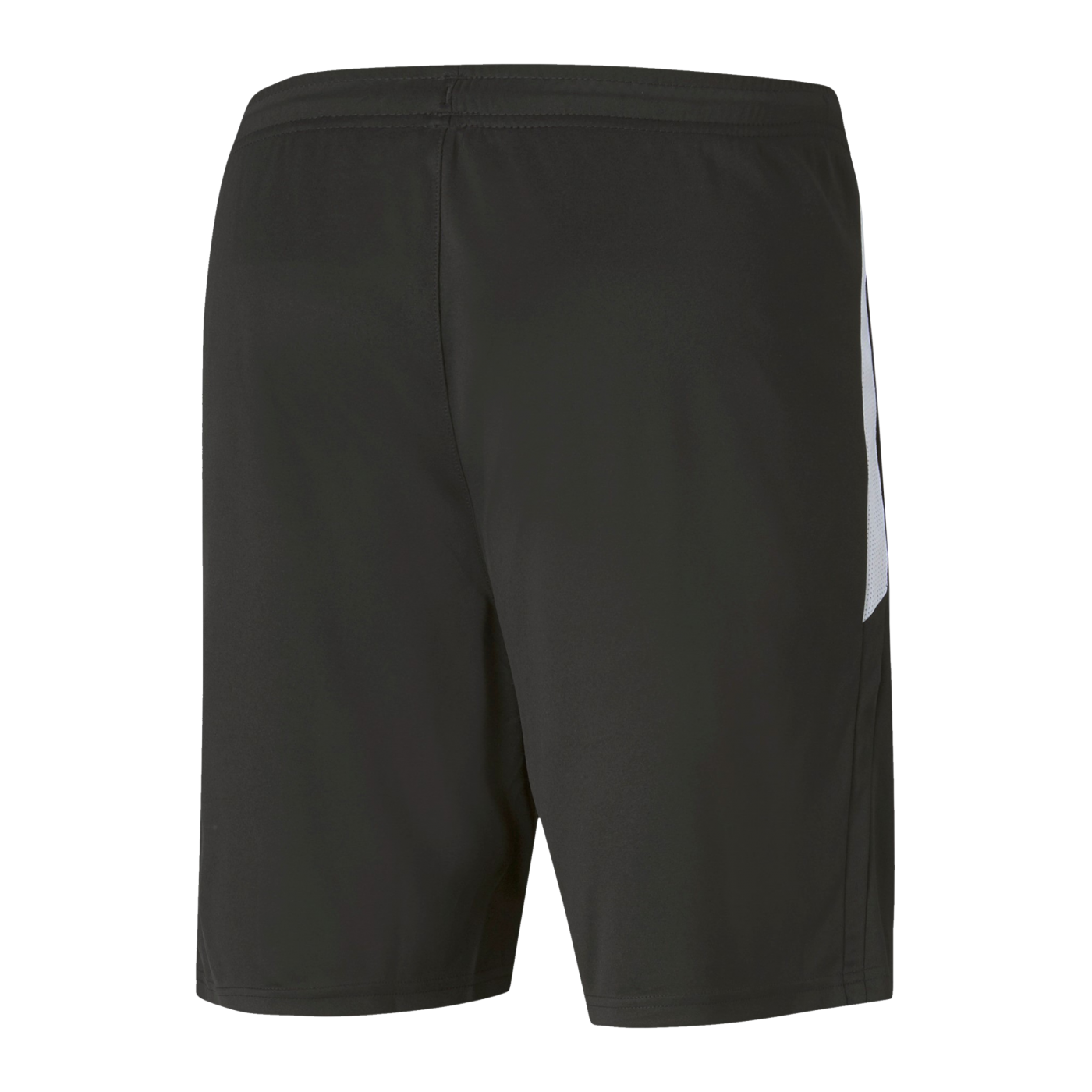 PUMA teamLIGA Short Schwarz Rot F41