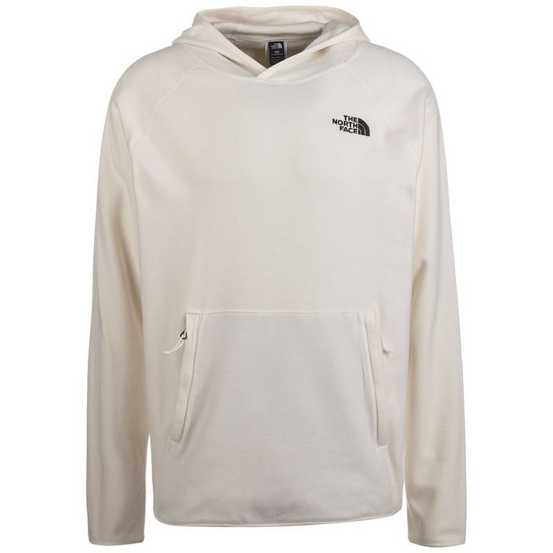 The North Face 100 Glacier Hoodie Herren