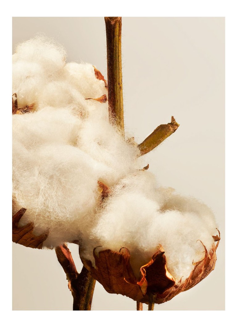 Αρωματικό κερί Rituals Cotton Blossom - αρωματικό κερί 360 γραμμαρίων