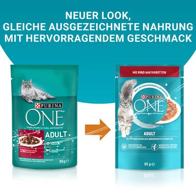 PURINA ONE Adult