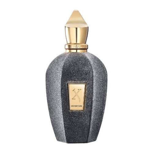 Parfumovaná voda Xerjoff V Ouverture 100 ml