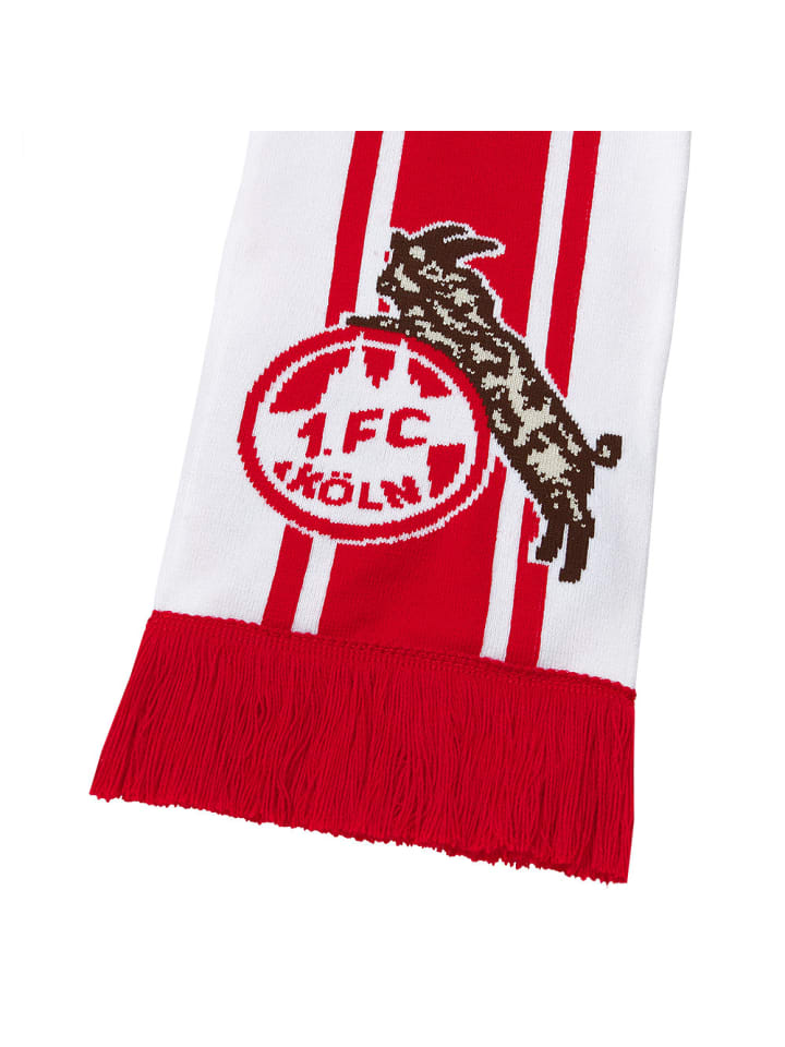 Fußballverein 1. FC Köln Schal 
