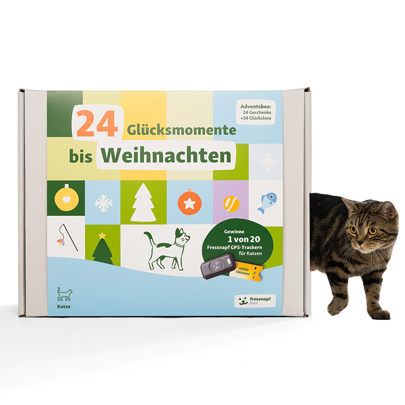 Fressnapf Nassfutter Fressnapf Adventskalender Katze