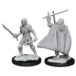 Pathfinder Battles Deep Cuts Unpainted Miniatures - Elf Fighter Male