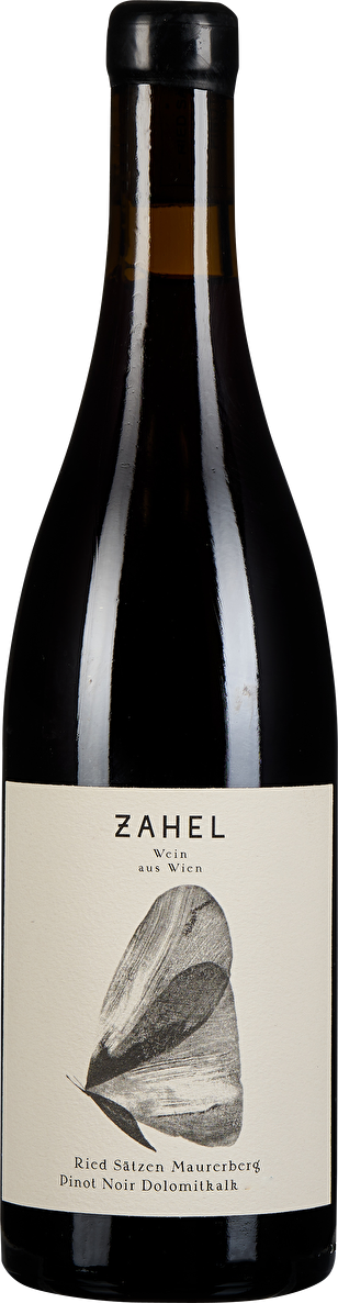Zahel Pinot Noir Dolomitkalk 2019