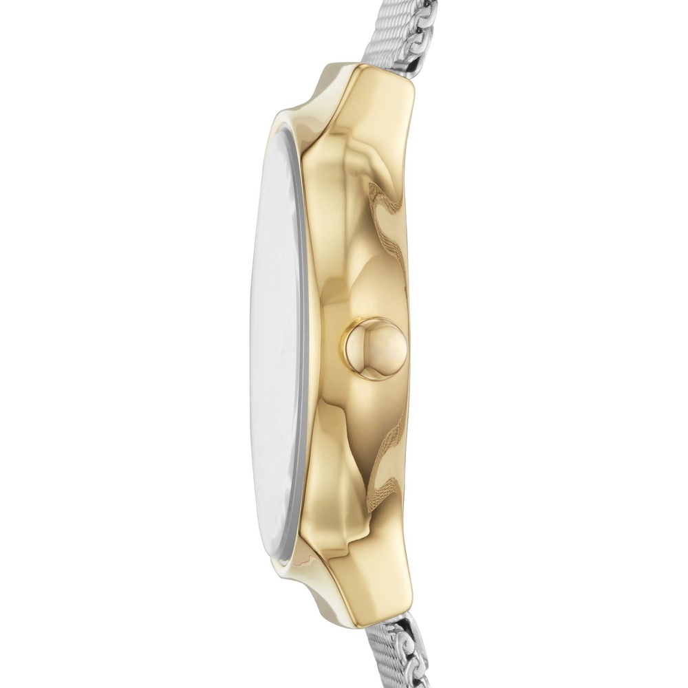 Skagen Montre pour femme Acier inoxydable Montre