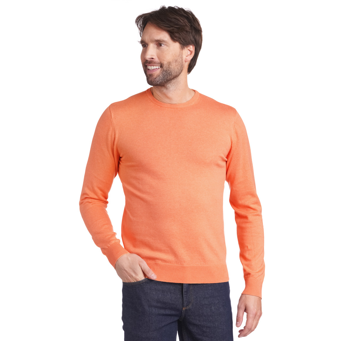 Herren Feinstrickpullover mit Rundhals