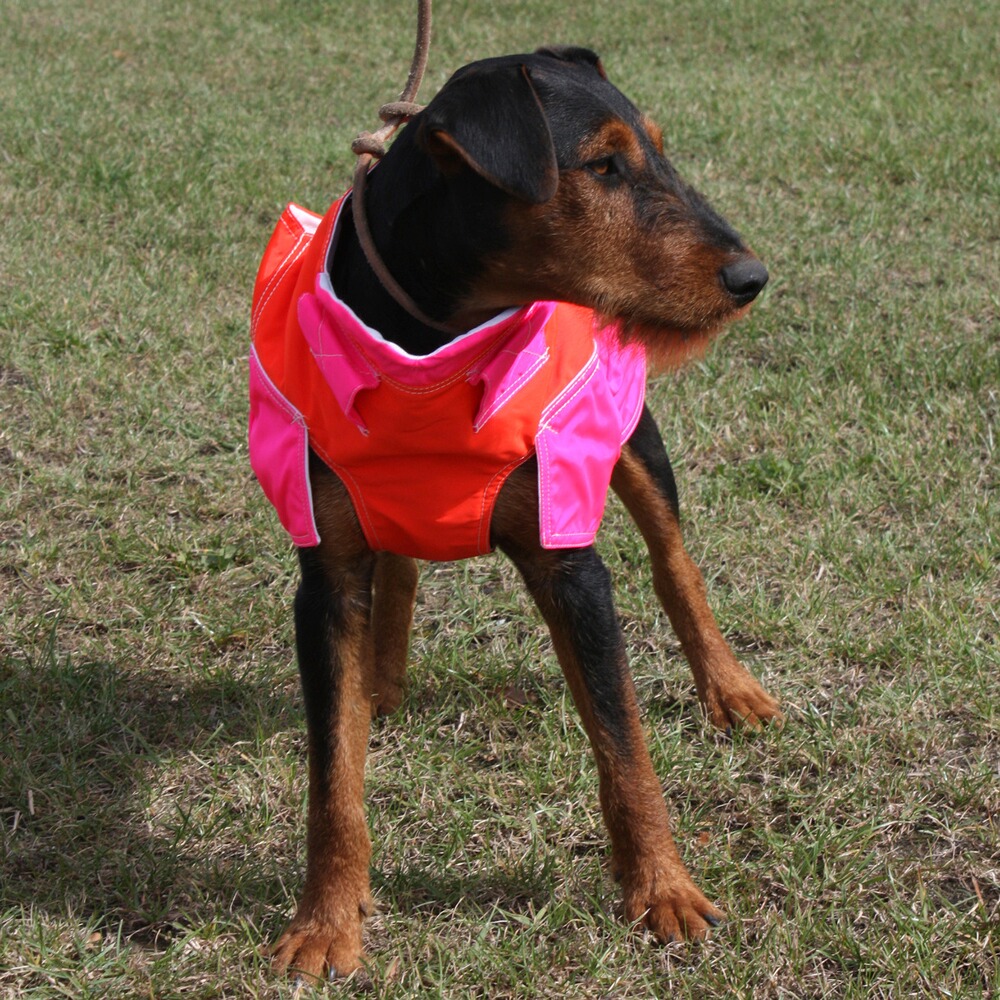 Out Dog Hundeschutzweste Standard