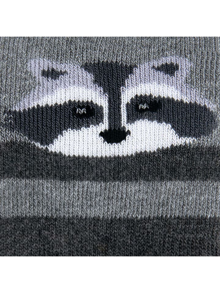 ewers Stoppersocken 3er Pack Waschbären in bunt günstig kaufen