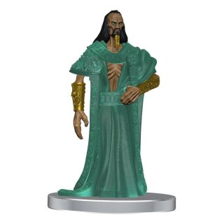 Pathfinder Battles Miniaturen: Impossible Lands - Masters of Magic Boxed Set (8) (pre-painted)