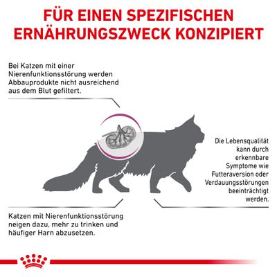 Royal Canin Veterinary Feline Renal