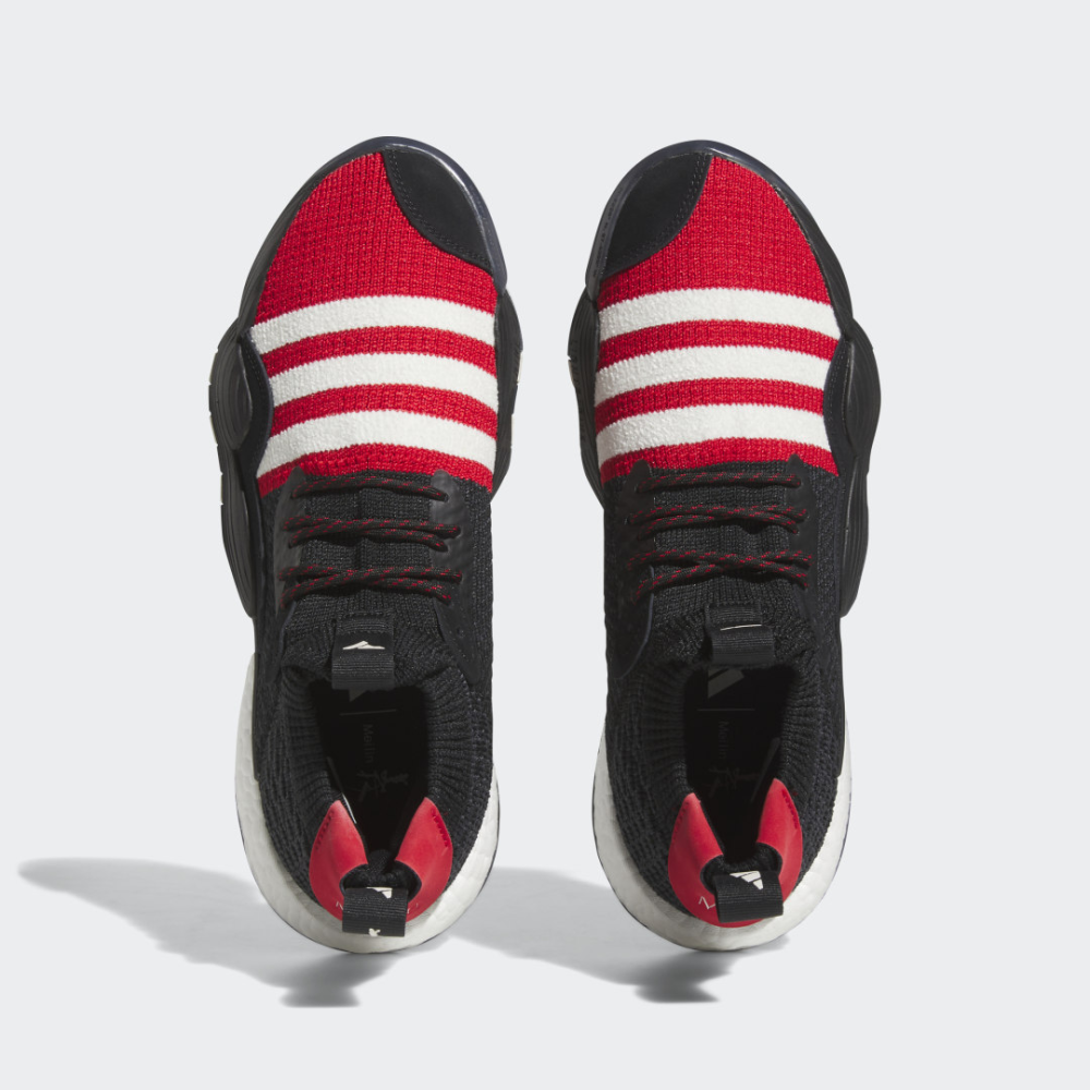 adidas Trae Young 2 IF2163 / schwarz