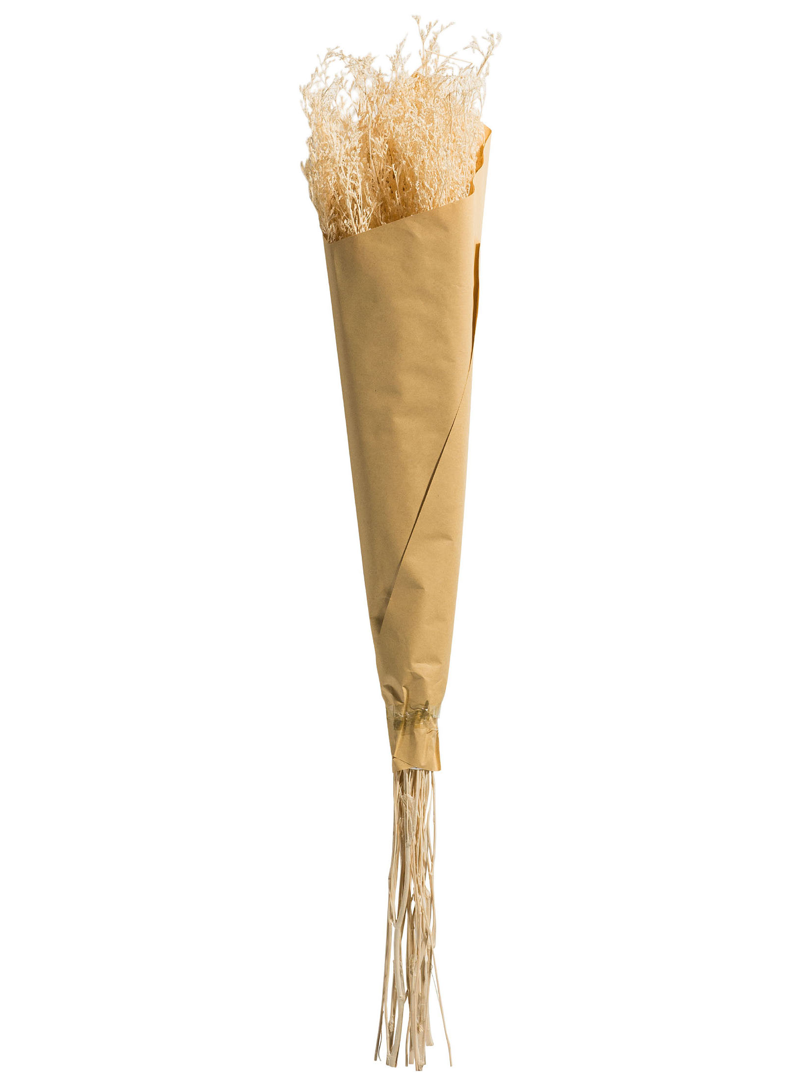 Strandflieder Trockenblume, Weiss